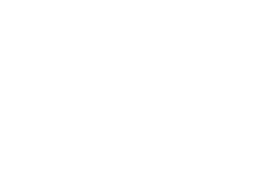 Rally2Give logo